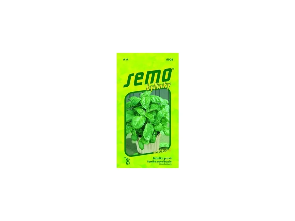 Akční Nabídka Bazalka pravá - Lettuce Leaf (salátová) 1g