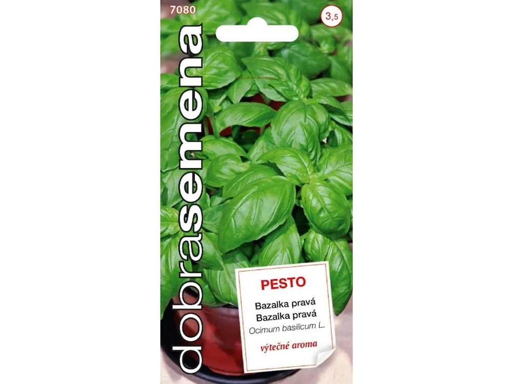 Oblíbený Bazalka pravá Pesto 0,3g - DOBRÁ SEMENA