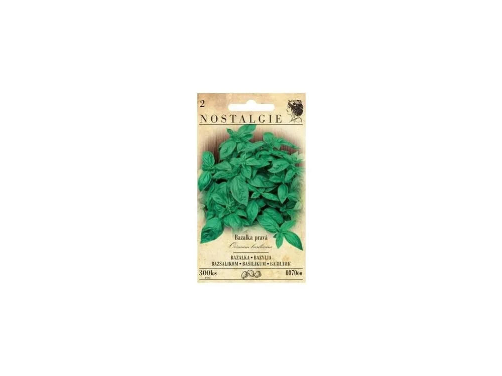 Bazalka pravá zelená - NOSTALGIE Nová Kolekce