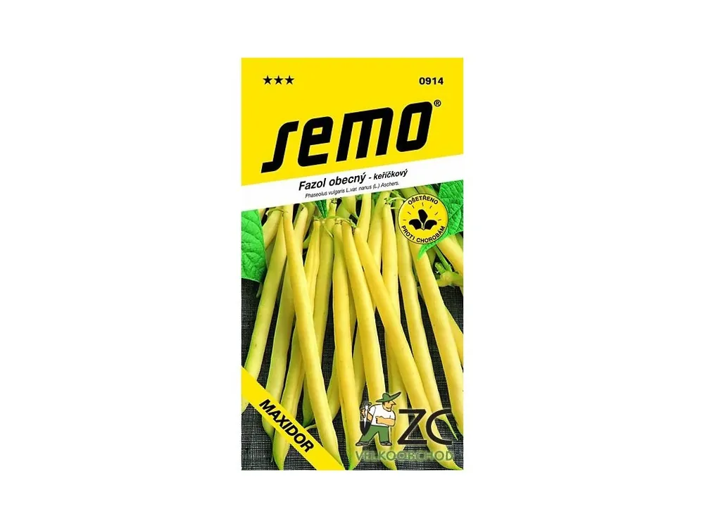 Novinka Fazol keříčkový - Maxidor 12g