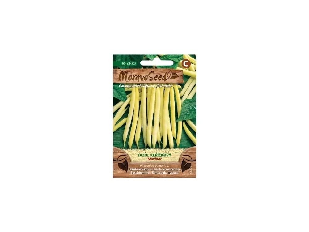 Fazol keříčkový Maxidor - MORAVOSEED Kup Teď