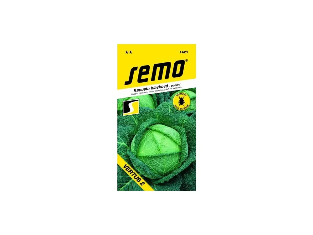 Levný Kapusta hlávková - Vertus 2 1g