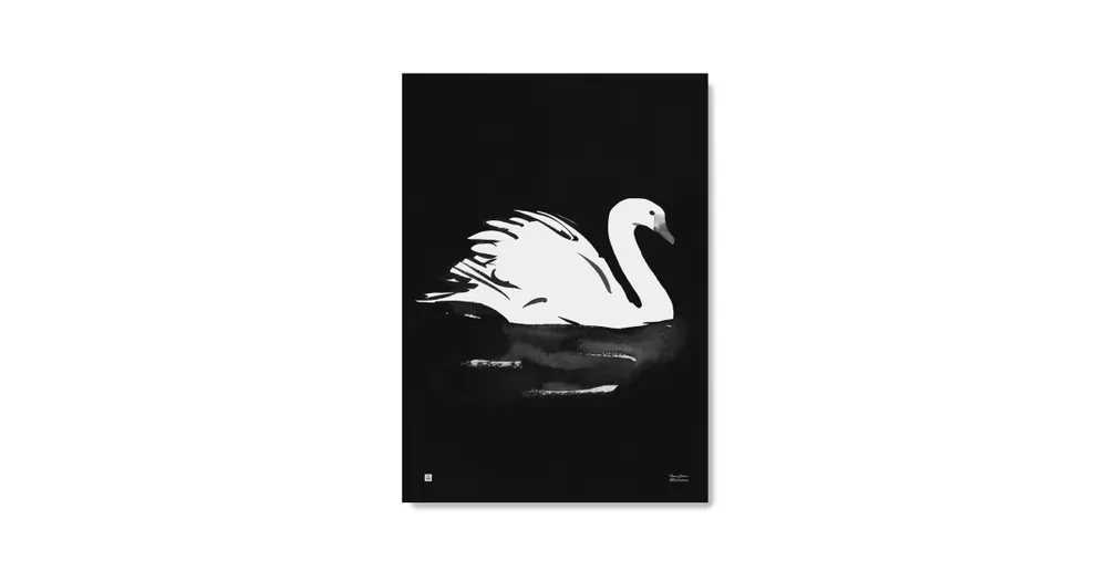 Plakát Swan velký 50x70 cm Levný