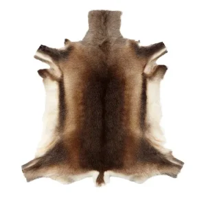 Oblíbený Sobia kožušina