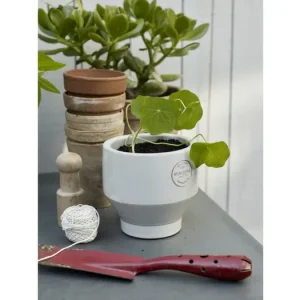 Finální Výprodej Venkovní květináč Edge Pot Light Grey M