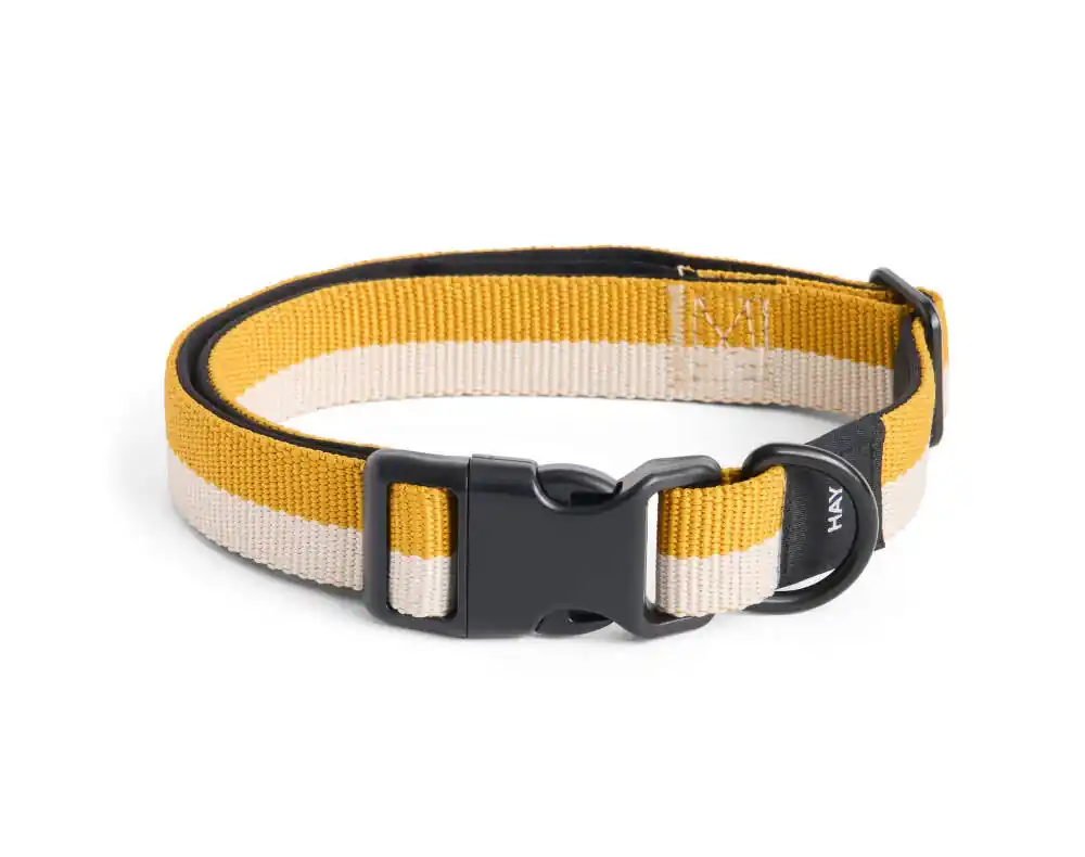 Finální Výprodej Obojek pro psa Dogs Collar Flat M/L, off-white/ochre