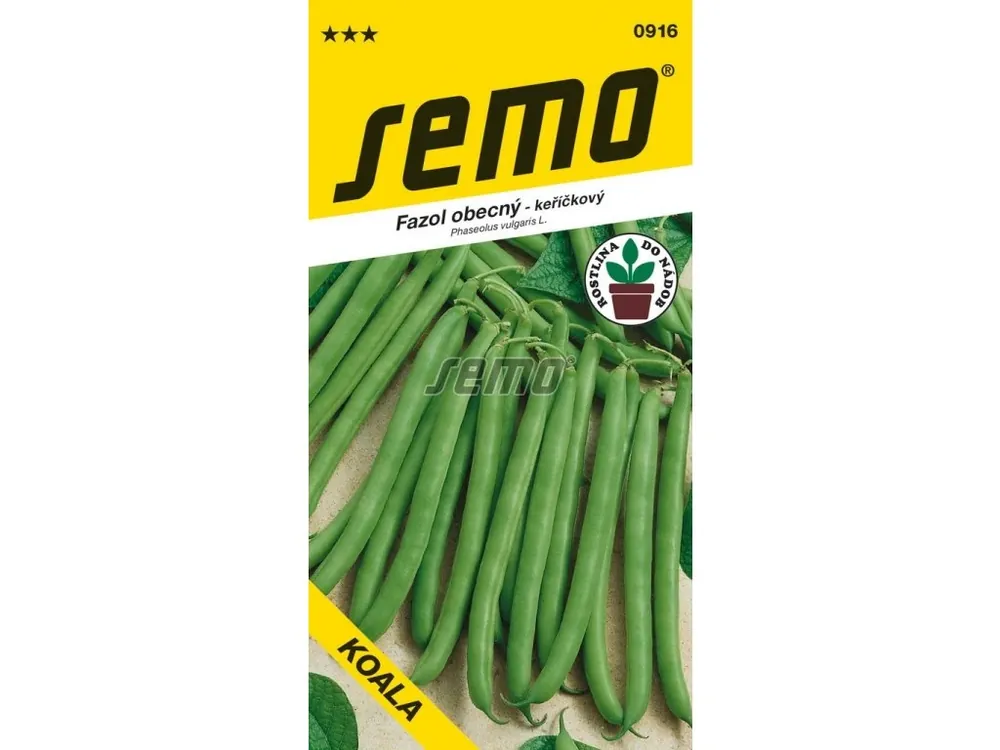 Fazol obecný keříčkový Koala Výprodej