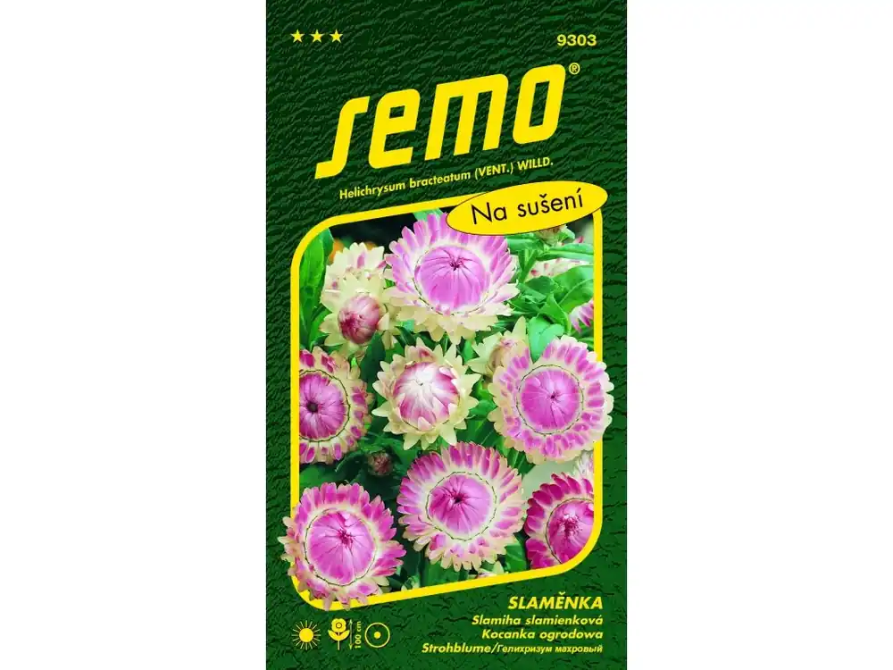 Slaměnka RŮŽOVÁ - velkokvětá Časově Omezené