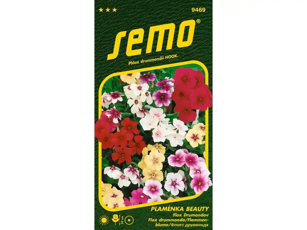 Plaménka (flox) BEAUTY SMĚS - velkokvětá Přímo Od Výrobce