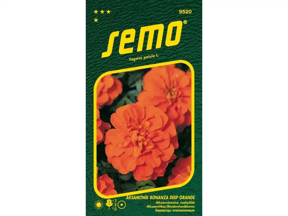 Přímo Od Výrobce Aksamitník rozkladitý BONANZA DEEP ORANGE