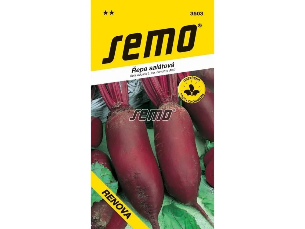 Akce Řepa salátová Renova - podlouhlá