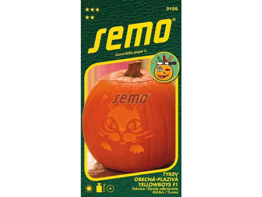Přímo Od Výrobce Tykev velkoplodá YELLOWBOYS F1 - na Helloween, na vaření, plod 8-10 kg