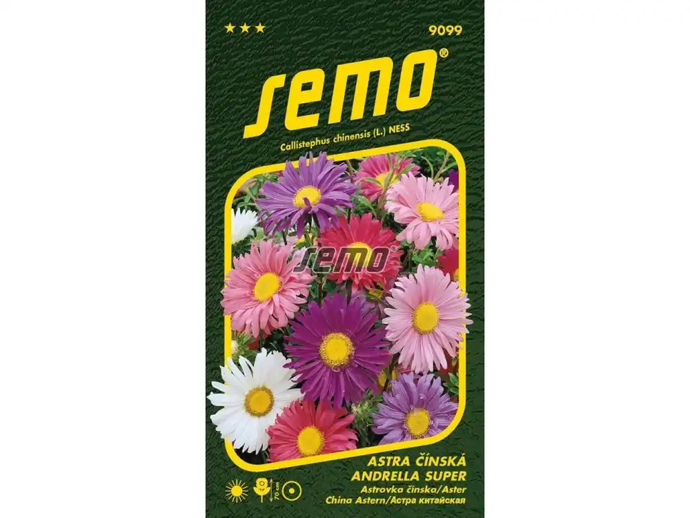 Astra čínská ANDRELLA SUPER MIX - 70 cm Kup Teď