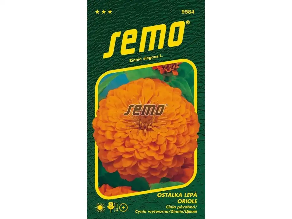 Ihned K Objednání Ostálka lepá ORIOLE