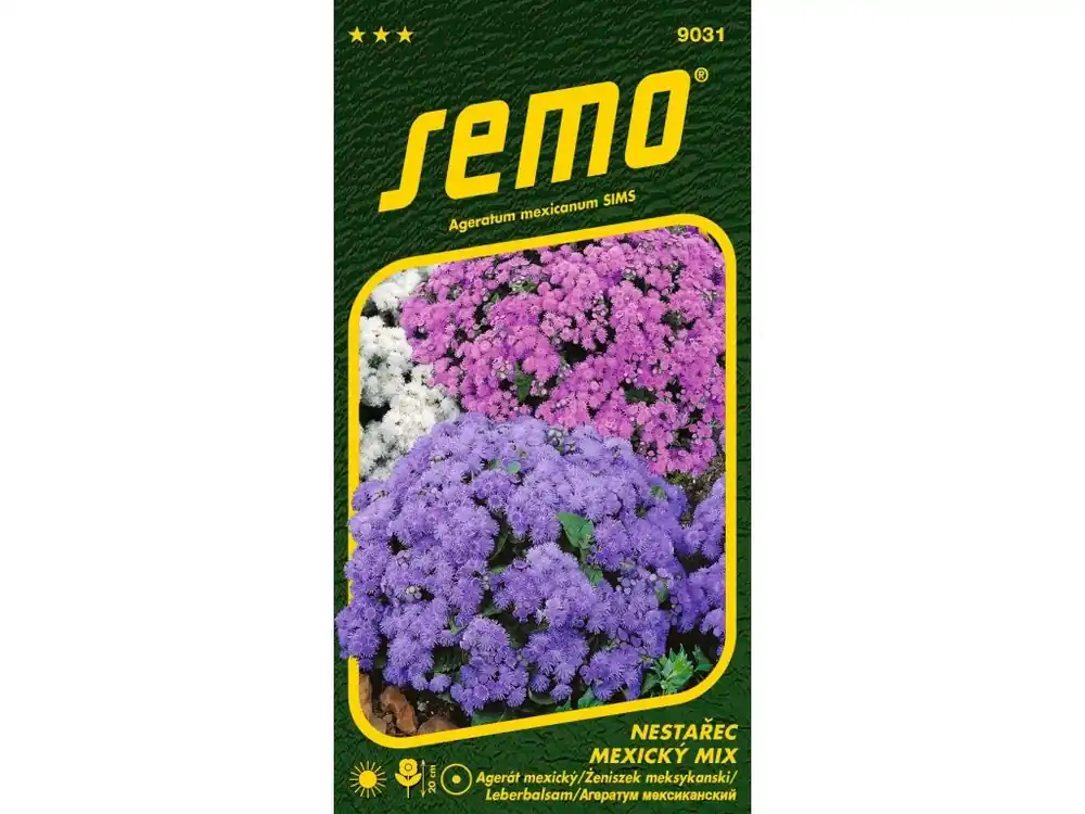Nestařec mexický SMĚS - nízký Akční Nabídka