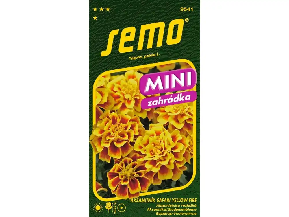 Akce Aksamitník rozkladitý SAFARI YELLOW FIRE - nízký