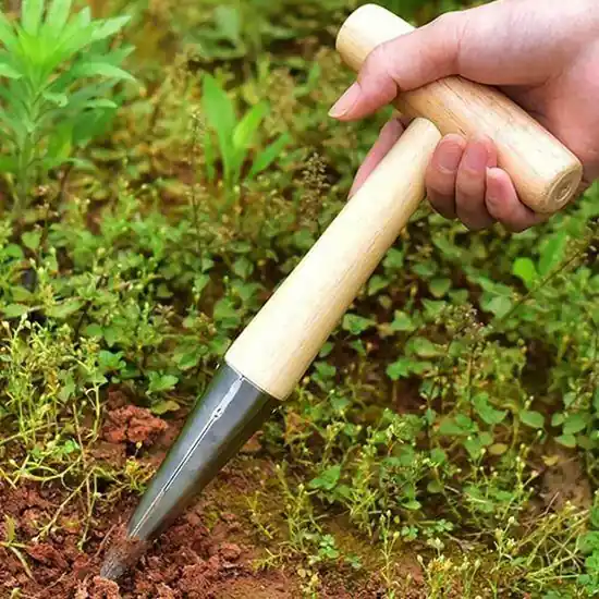 Sázecí kolík Aktuální