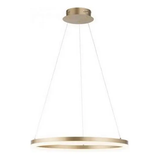 Akce Paul Neuhaus 2382-60 - LED Stmívatelný lustr na lanku TITUS LED/38,5W/230V