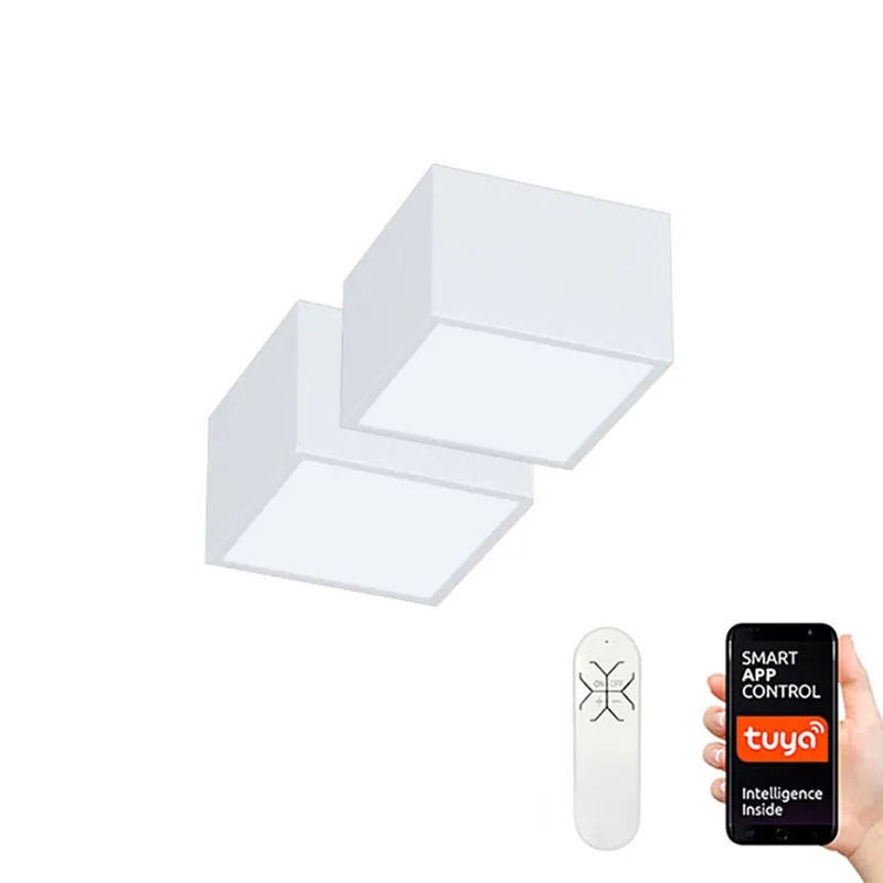 Immax Neo 07072L-15BD - Sada 2x LED Stmívatelné stropní svítidlo CANTO 2xLED/12W/230V + dálkové ovládání Tuya Nejlepší Volba