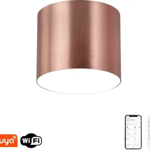 Akce Immax NEO 07319L - LED Stmívatelné stropní svítidlo RONDATE LED/18W/230V pr. 11,5 cm Wi-Fi Tuya rose gold